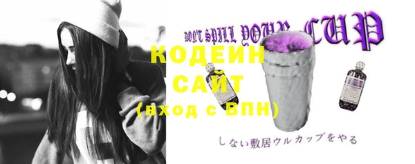 гашик Медвежьегорск