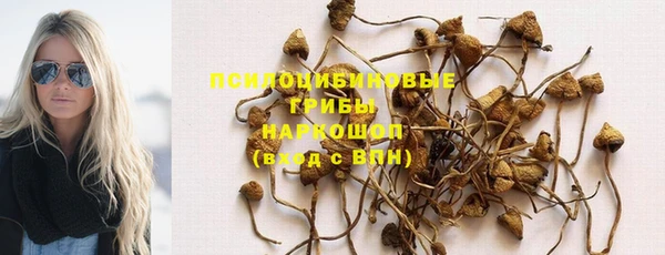 a pvp Мегион