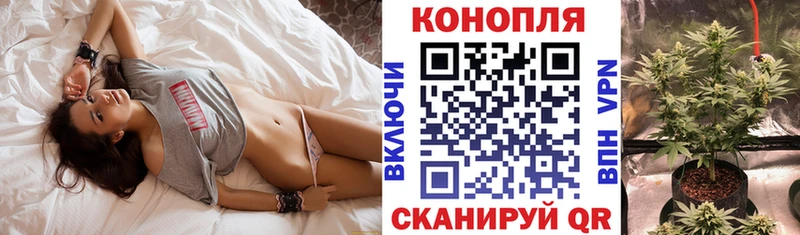 Марихуана OG Kush  Купить закладки  Симферополь 